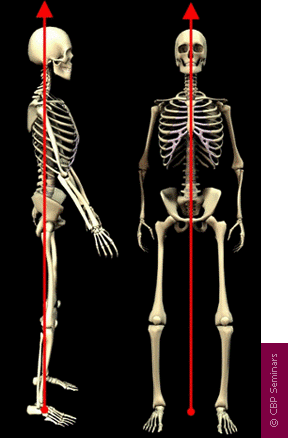 Huntington Chiropractic BioPhysics | Posture Treatment Huntington NY